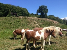 Pensiunea Poiana Verde - alloggio in  Slanic Moldova (06)