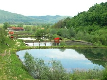 Pensiunea Patrimara - alloggio in  Apuseni (10)