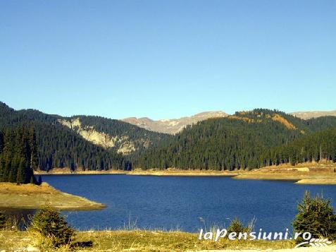 Pensiunea Naparis - accommodation in  Muntenia (Surrounding)