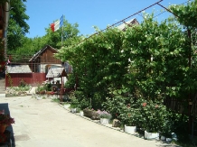 Casa Coca - accommodation in  Slanic Moldova (05)