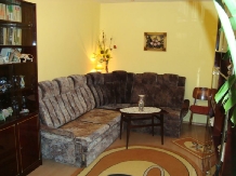 Casa Coca - accommodation in  Slanic Moldova (07)