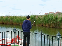 Pensiunea Alfa - cazare Litoral (08)