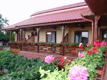 Rural accommodation at  Pensiunea Rosu