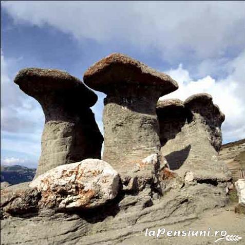 Cabana Bolboci - alloggio in  Muntenia (Attivit&agrave; e i dintorni)