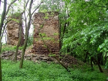 Casa Grande - alloggio in  Apuseni (15)