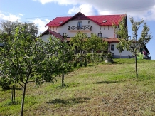 Pensiunea Panorama - alloggio in  Transilvania (06)