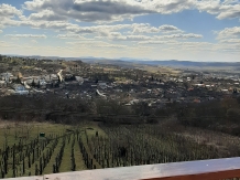 Pensiunea Panorama - cazare Transilvania (23)