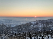 Pensiunea Panorama - accommodation in  Transylvania (30)