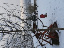 Pensiunea Panorama - alloggio in  Transilvania (34)