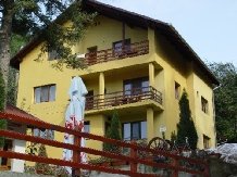 Pensiunea Iulia - accommodation in  Transylvania (01)