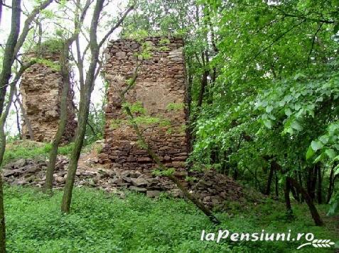 Casa Fekete - accommodation in  Apuseni Mountains (Surrounding)