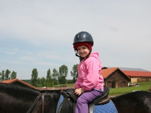 Pensiunea Cai de Vis - alloggio in  Bucovina (13)