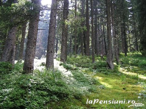 Pensiunea Cai de Vis - accommodation in  Bucovina (Surrounding)