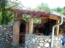 Conacul Grecului - accommodation in  Danube Boilers and Gorge, Clisura Dunarii (10)