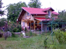 Casa Pedro - alloggio in  Muntenia (06)