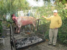 Pensiunea Cristian - alloggio in  Oltenia (03)