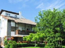Pensiunea Cristian - accommodation in  Oltenia (11)