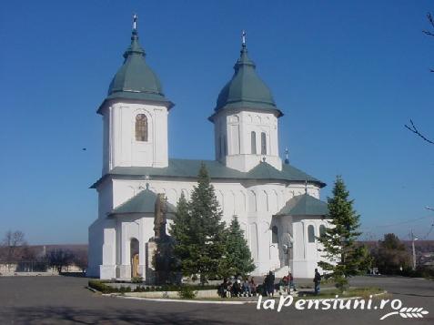 Pensiunea Dobrina - alloggio in  Moldova (Attivit&agrave; e i dintorni)