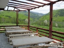 Pensiunea Valea Doamnei - cazare Fagaras, Tara Muscelului (05)
