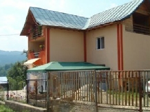 Pensiunea Magura - accommodation in  Fagaras and nearby, Transfagarasan (01)