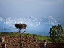 Casa Mosului - cazare Fagaras, Transfagarasan, Balea (02)