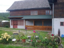 Casa Eugen - accommodation in  Fagaras and nearby (02)