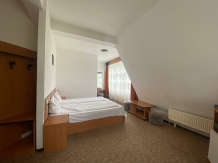 Pensiunea Casa Vinga - accommodation in  Brasov Depression (06)