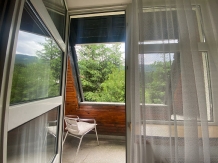 Pensiunea Casa Vinga - accommodation in  Brasov Depression (15)