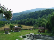 Pensiunea Natur Haus - cazare Fagaras, Sambata (02)