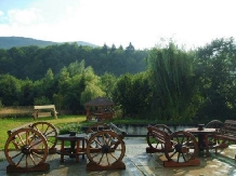 Pensiunea Natur Haus - cazare Fagaras, Sambata (03)