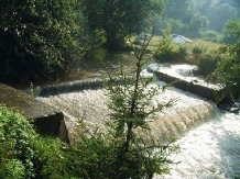 Pensiunea Natur Haus - cazare Fagaras, Sambata (14)