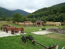 Pensiunea Natur Haus - accommodation in  Fagaras and nearby, Sambata (15)