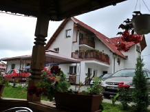 Pensiunea Maria - accommodation in  Fagaras and nearby, Sambata (02)