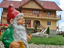 Pensiunea Rapsodia Muntilor - accommodation in  Fagaras and nearby, Sambata (12)