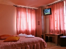 Vila Sorina - accommodation in  Fagaras and nearby, Sambata (07)