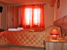 Vila Sorina - accommodation in  Fagaras and nearby, Sambata (09)