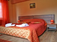 Vila Sorina - accommodation in  Fagaras and nearby, Sambata (10)