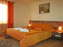 Vila Sorina - accommodation in  Fagaras and nearby, Sambata (13)