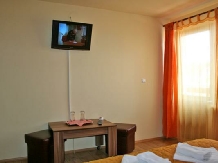 Vila Sorina - accommodation in  Fagaras and nearby, Sambata (14)