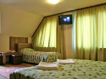 Vila Sorina - accommodation in  Fagaras and nearby, Sambata (17)