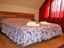 Vila Sorina - accommodation in  Fagaras and nearby, Sambata (19)