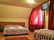 Vila Sorina - accommodation in  Fagaras and nearby, Sambata (20)