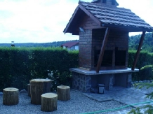 Vila Sorina - accommodation in  Fagaras and nearby, Sambata (22)