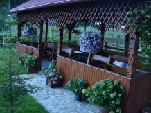 Vila Sorina - accommodation in  Fagaras and nearby, Sambata (25)