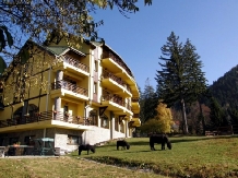 Casa Viorel - alloggio in  Vallata di Brasov (01)