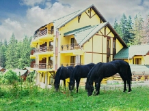 Casa Viorel - alloggio in  Vallata di Brasov (12)