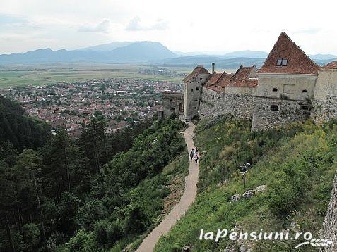 Casa Viorel - alloggio in  Vallata di Brasov (Attivit&agrave; e i dintorni)