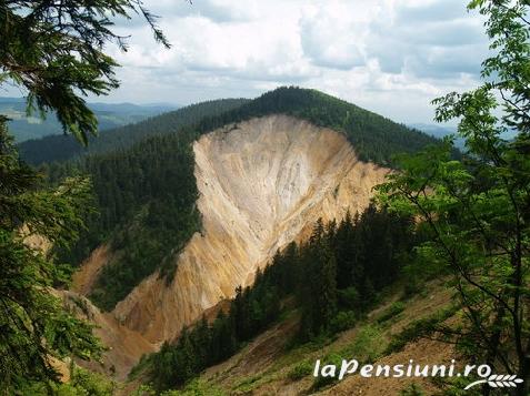 Pensiunea Hanul Cu Noroc - accommodation in  Apuseni Mountains (Surrounding)