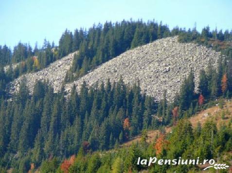 Pensiunea Hanul Cu Noroc - accommodation in  Apuseni Mountains (Surrounding)