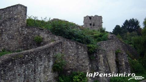 Vila Diana - alloggio in  Gola del Danubio, Clisura Dunarii (Attivit&agrave; e i dintorni)